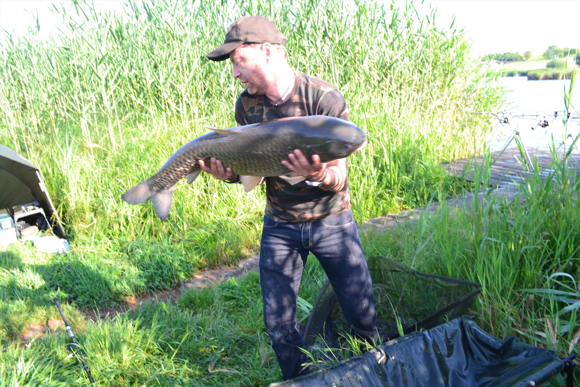 Pescuit Balta Lazar 6-8 iunie 2014 - dsc0028.JPG